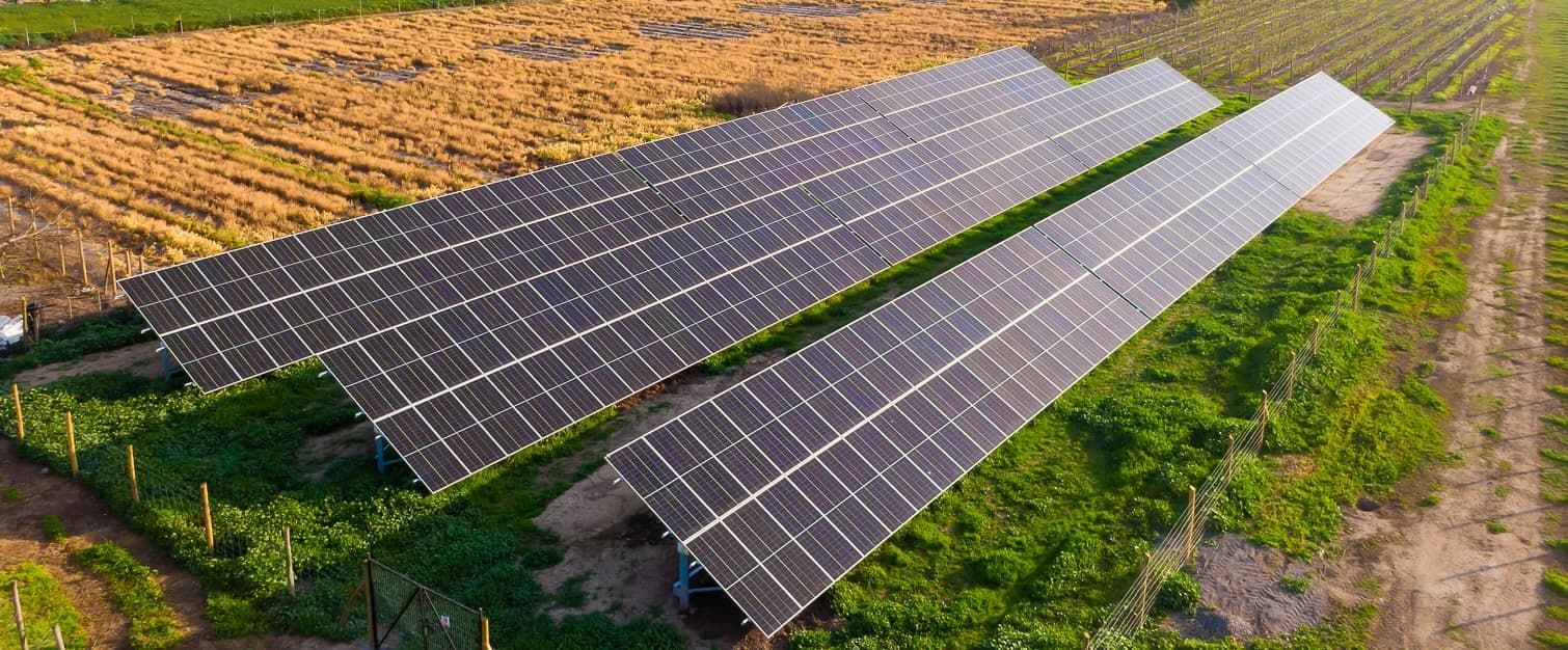 Planta solar Casa Marín — D.O. Lo Abarca